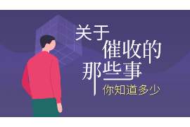 临沂为什么选择专业追讨公司来处理您的债务纠纷？